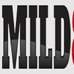 Mild88: Redefining the Future of Online Casino Entertainment